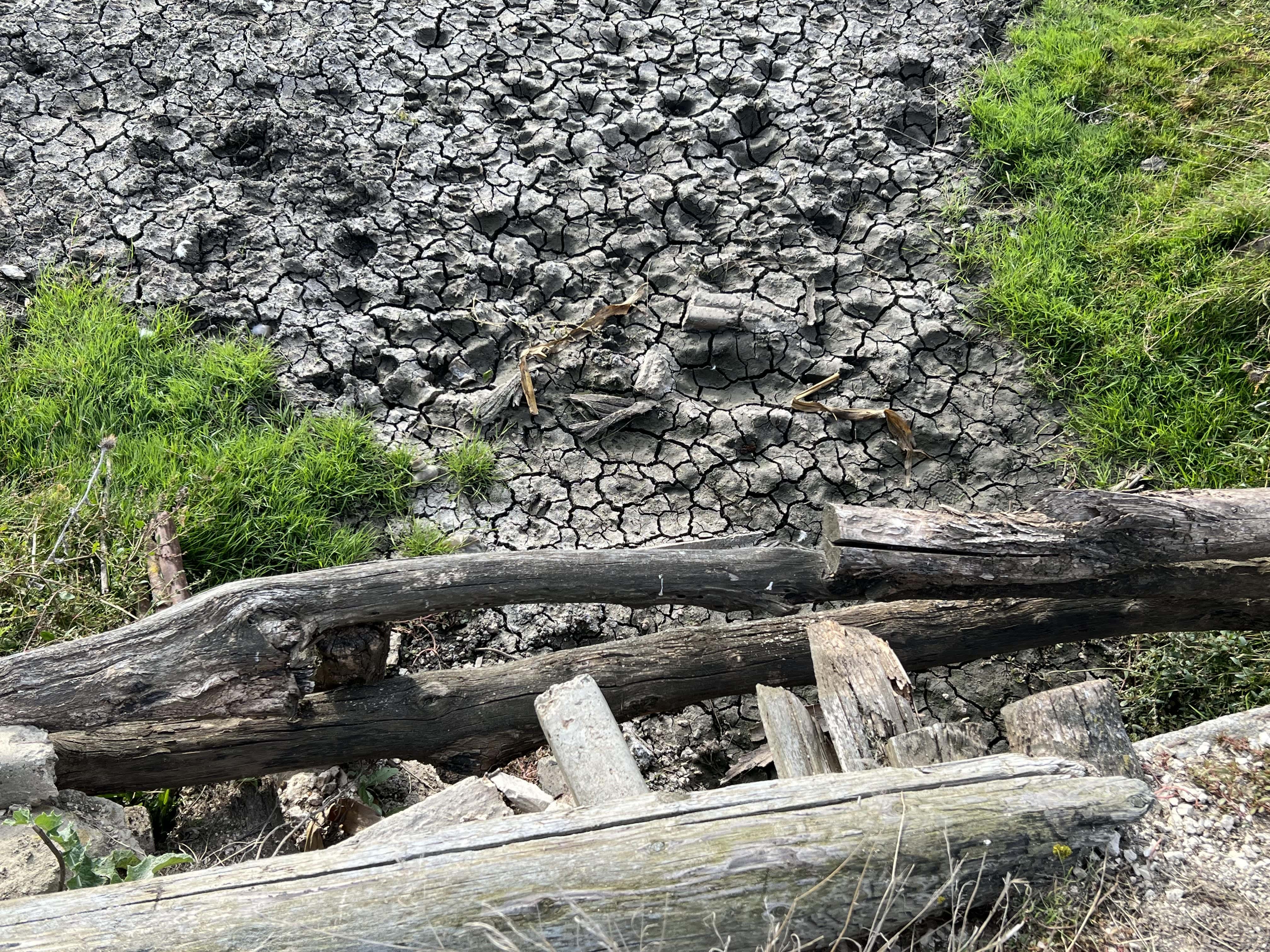 Dry river in Bursuceni, September 2025. Dams are only one part of a much more complex situation. Climate change and decades of river engineering — channel straightening, embankments, and disconnection from floodplains — all contribute to declining flows